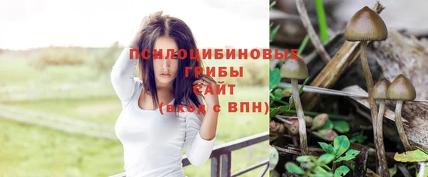 метадон Липки
