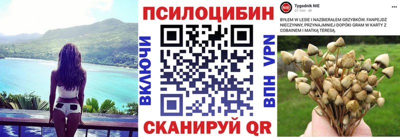 Псилоцибиновые грибы MAGIC MUSHROOMS  наркошоп  Сосногорск 